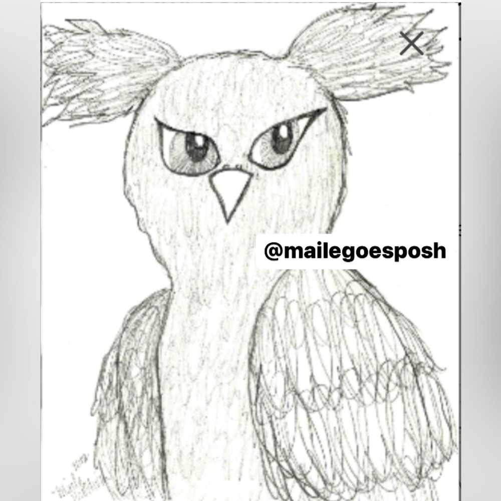Spooky owl pencil hand drawing drawn print 8.5”x10.5” Halloween Art decor